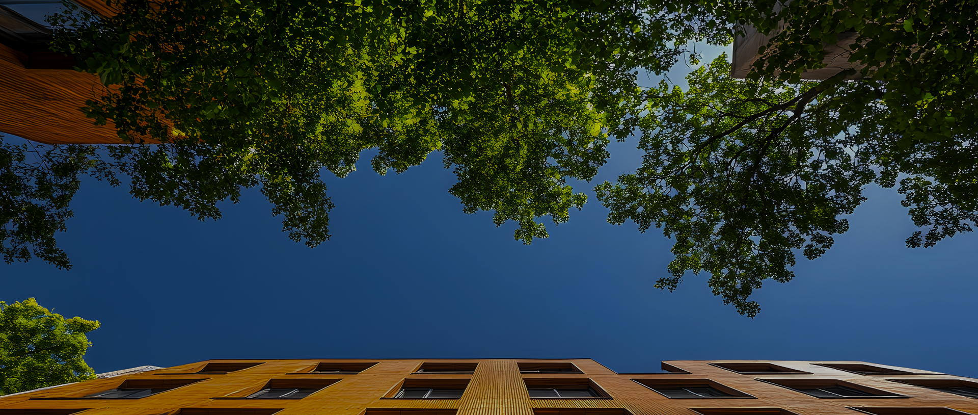 Low-angle view of modern residential buildings framed by leafy green trees and a clear blue sky.